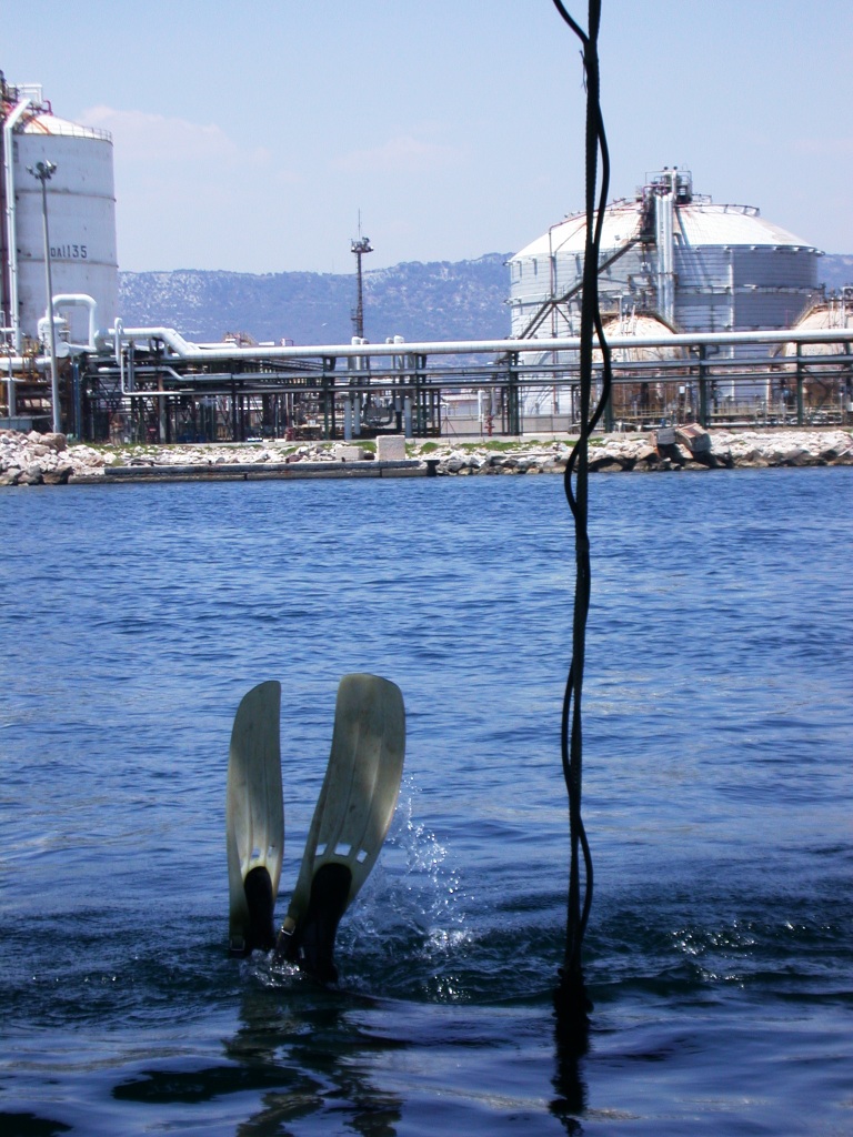 contaminanti nelle reti trofiche